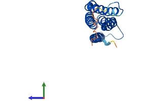 Protein Structure (PS) image for Microsomal Glutathione S-Transferase 3 (MGST3) (AA 1-153) protein (His tag) (ABIN7560480)