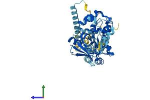 Protein Structure (PS) image for Cytohesin 3 (CYTH3) (AA 1-399) protein (His tag) (ABIN7562231)