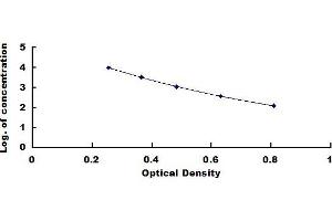 Typical standard curve (Trypsinogen Activation Peptide ELISA 试剂盒)