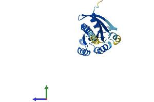 Protein Structure (PS) image for RAB35, Member RAS Oncogene Family (RAB35) (AA 1-201) protein (His tag) (ABIN7551155)