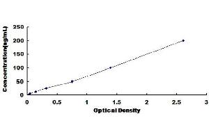 Typical Standard Curve