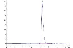 The purity of Cynomolgus SLAMF6 is greater than 95 % as determined by SEC-HPLC.