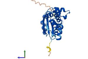 Protein Structure (PS) image for NME/NM23 Family Member 5 (NME5) (AA 1-211) protein (His tag) (ABIN7560406)