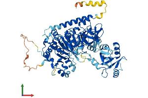 Protein Structure (PS) image for Fatty Acid Transport Protein 3 (FATP3) (AA 1-667) protein (His tag) (ABIN7562629)