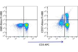 Flow Cytometry (FACS) image for anti-beta-1,3-Glucuronyltransferase 1 (Glucuronosyltransferase P) (B3GAT1) antibody (ABIN3071841) (CD57 抗体)