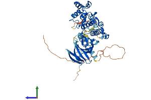 AlphaFold protein structure predicition of Human Recombinant MAPK9 Protein, UniprotID P45984