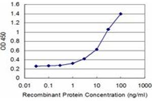 Detection limit for recombinant GST tagged COX6B1 is approximately 1ng/ml as a capture antibody. (COX6B1 抗体  (AA 1-86))