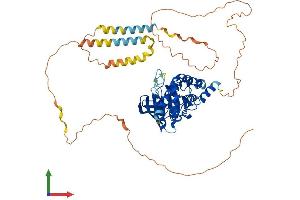 Protein Structure (PS) image for Protein tyrosine Phosphatase, Non-Receptor Type 5 (Striatum-Enriched) (PTPN5) (AA 1-565) protein (His tag) (ABIN7551090)