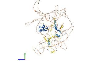 Protein Structure (PS) image for Synaptopodin 2 (SYNPO2) (AA 1-1093) protein (His tag) (ABIN7555679)