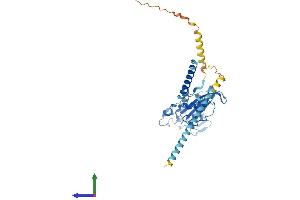 Protein Structure (PS) image for GLI Pathogenesis-Related 1 Like 2 (GLIPR1L2) (AA 1-344) protein (His tag) (ABIN7548222)