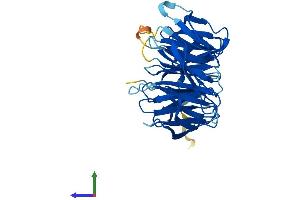 AlphaFold protein structure predicition of Human Recombinant GNB1L Protein, UniprotID Q9BYB4