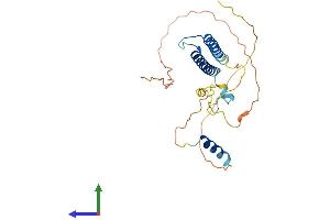 AlphaFold protein structure predicition of Mouse Recombinant Myf5 Protein, UniprotID P24699