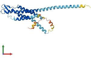 Protein Structure (PS) image for Gap Junction Protein, beta 6, 30kDa (GJB6) (AA 1-261) protein (His tag) (ABIN7546853)