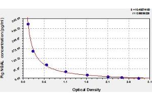 Typical Standard Curve (Lipocalin 2 ELISA 试剂盒)