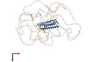 Gm1564 (AA 1-952) protein (His tag)