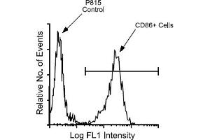 Flow Cytometry (FACS) image for anti-CD86 (CD86) antibody (FITC) (ABIN371183) (CD86 抗体  (FITC))