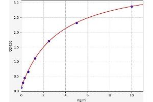 Glucuronidase, beta (GUSB) ELISA Kit