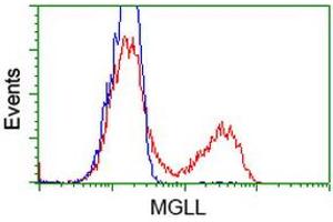 Image no. 3 for anti-Monoglyceride Lipase (MGLL) antibody (ABIN1499438) (MGLL 抗体)