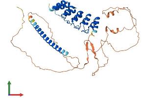 Protein Structure (PS) image for GA-Binding Protein Subunit beta-2 (GABPB2) (AA 1-448) protein (His tag) (ABIN7547795)
