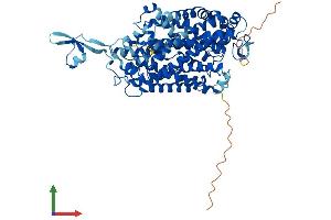 Protein Structure (PS) image for Solute Carrier Family 6 (Amino Acid Transporter), Member 14 (Slc6a14) (AA 1-638) protein (His tag) (ABIN7561700)