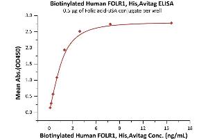 ELISA image for Folate Receptor 1 (Adult) (FOLR1) (AA 25-233) (Active) protein (His tag,AVI tag,Biotin) (ABIN5954995)