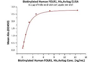 Immobilized Biotinylated Human FOLR1, His,Avitag (ABIN5954995,ABIN6253622) at 1 μg/mL (100 μL/well) on streptavidin precoated (0. (FOLR1 Protein (AA 25-233) (His tag,AVI tag,Biotin))