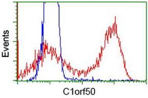 Image no. 3 for anti-Chromosome 1 Open Reading Frame 50 (C1ORF50) antibody (ABIN1497032) (C1ORF50 抗体)