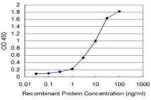 Detection limit for recombinant GST tagged HCLS1 is approximately 0. (HCLS1 抗体  (AA 266-355))