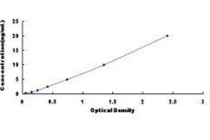 Tropomodulin 3 (TMOD3) ELISA Kit