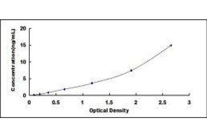 Typical standard curve (GSTP1 ELISA 试剂盒)