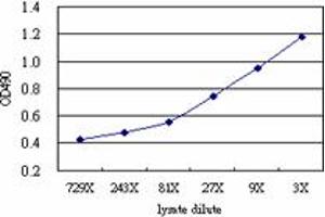 Sandwich ELISA detection sensitivity ranging from approximately 27x to 3x dilution of the E4F1 293T overexpression lysate (non-denatured).