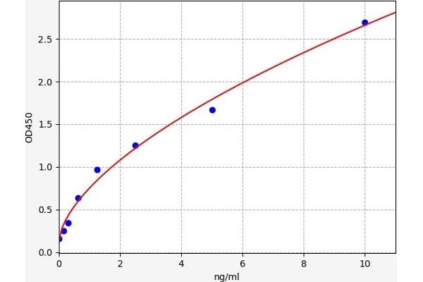 CYB5R3 ELISA 试剂盒