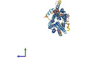 AlphaFold protein structure predicition of Human Recombinant MFSD4A Protein, UniprotID Q8N468 (MFSD4 Protein (AA 1-514) (His tag))