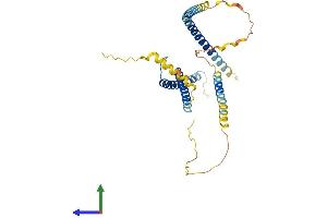 Protein Structure (PS) image for Transcription Factor AP-4 (Activating Enhancer Binding Protein 4) (TFAP4) (AA 1-338) protein (His tag) (ABIN7544401)