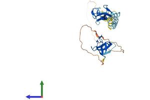 Protein Structure (PS) image for LIM and SH3 Protein 1 (LASP1) (AA 1-263) protein (His tag) (ABIN7557738)