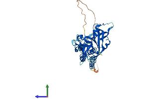 AlphaFold protein structure predicition of Human Recombinant AIM2 Protein, UniprotID O14862 (AIM2 Protein (AA 1-343) (His tag))