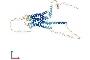 AlphaFold protein structure predicition of Mouse Recombinant Gpr22 Protein, UniprotID Q8BZL4