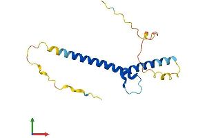 Protein Structure (PS) image for Atonal Homolog 7 (ATOH7) (AA 1-152) protein (His tag) (ABIN7552467)