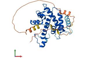 Protein Structure (PS) image for Calpain, Small Subunit 1 (CAPNS1) (AA 1-268) protein (His tag) (ABIN7546692)