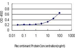 Detection limit for recombinant GST tagged CIAPIN1 is approximately 1ng/ml as a capture antibody. (CIAPIN1 抗体  (AA 266-367))
