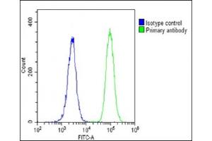 Overlay histogram showing U-2 OS cells stained with C(green line). (LIF 抗体  (AA 72-101))