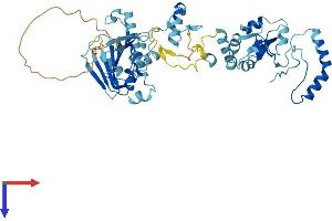 AlphaFold protein structure predicition of Human Recombinant HSP90AB4P Protein, UniprotID Q58FF6 (HSP90AB4P Protein (AA 1-505) (His tag))