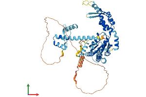 AlphaFold protein structure predicition of Mouse Recombinant Katnal2 Protein, UniprotID Q9D3R6