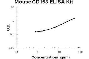 Mouse CD163 PicoKine ELISA Kit standard curve (CD163 ELISA 试剂盒)