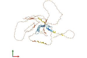 AlphaFold protein structure predicition of Human Recombinant EGR2 Protein, UniprotID P11161