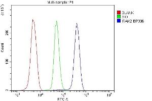 Flow Cytometry analysis of U937 cells using anti-IRAK2 antibody (ABIN7602761).