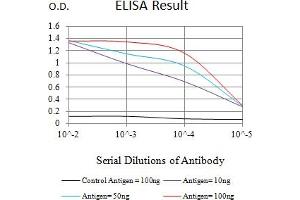 Black line: Control Antigen (100 ng),Purple line: Antigen (10 ng), Blue line: Antigen (50 ng), Red line:Antigen (100 ng) (Calreticulin 抗体  (AA 18-417))