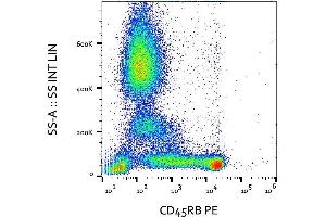 Surface staining of human peripheral blood with anti-CD45RB (MEM-55) PE. (CD45RB 抗体  (PE))