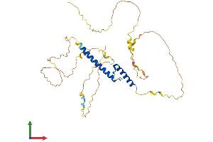 Protein Structure (PS) image for Atonal Homolog 1 (Drosophila) (ATOH1) (AA 1-354) protein (His tag) (ABIN7552403)