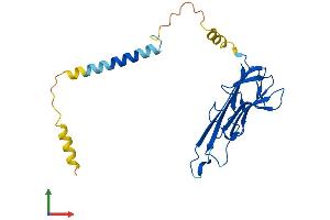 Protein Structure (PS) image for Tumor Necrosis Factor alpha (TNF alpha) (AA 1-233) protein (His tag) (ABIN7555778)